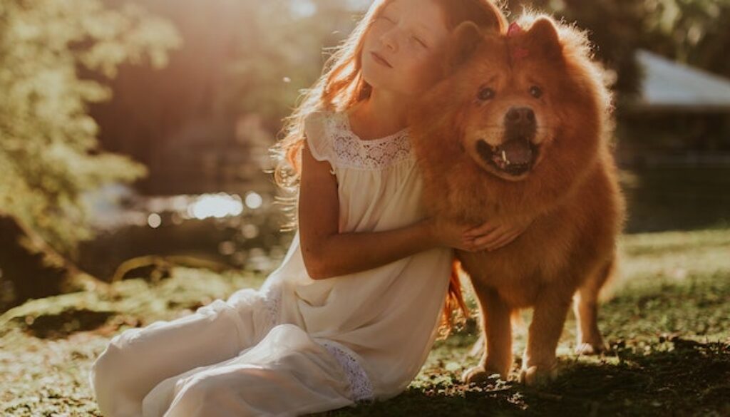 Pet Adoption