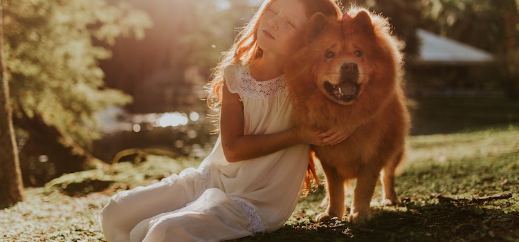 Pet Adoption