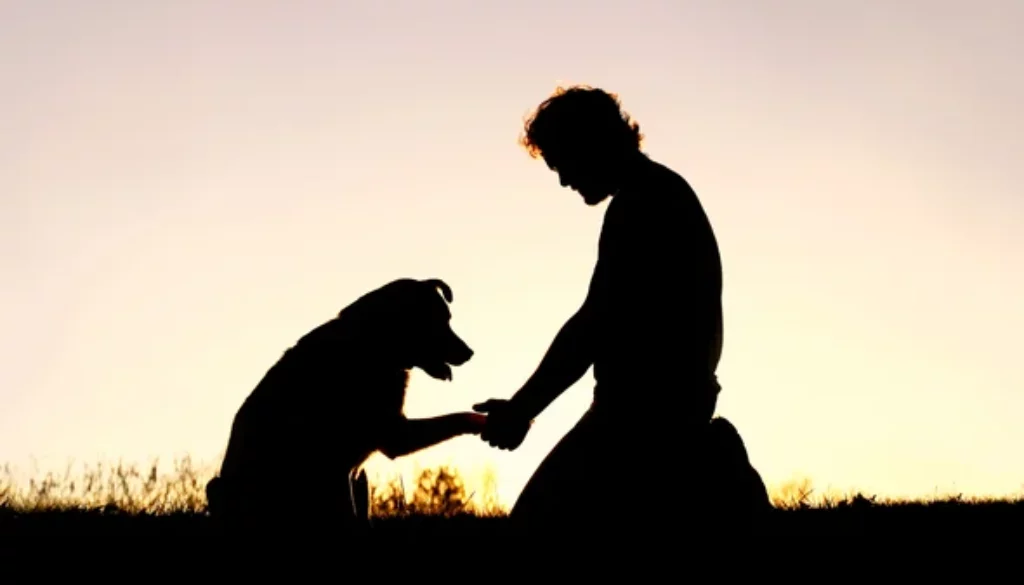 The Physical and Emotional Effects of Pet Loss Navigating the Journey of Grief