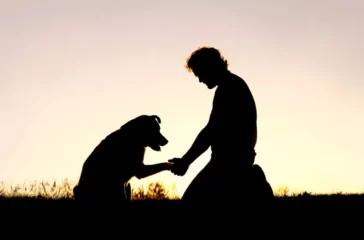 The Physical and Emotional Effects of Pet Loss Navigating the Journey of Grief