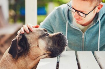 The Physical and Emotional Effects of Pet Loss Navigating the Journey of Grief