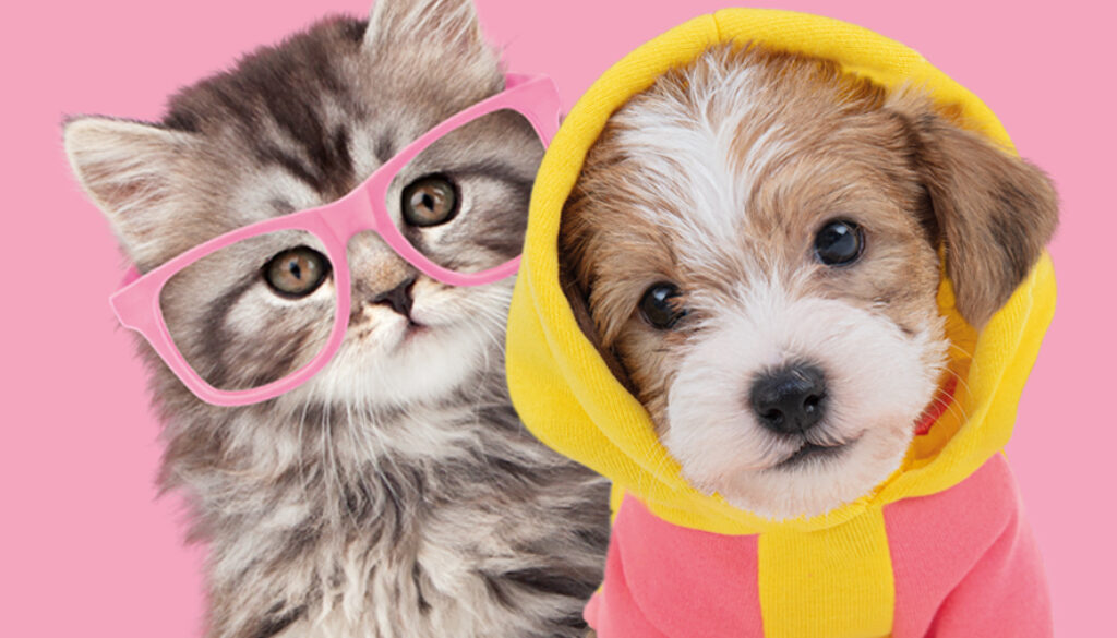 Rescuing Pets Matters