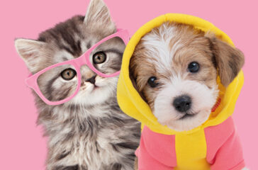 Rescuing Pets Matters