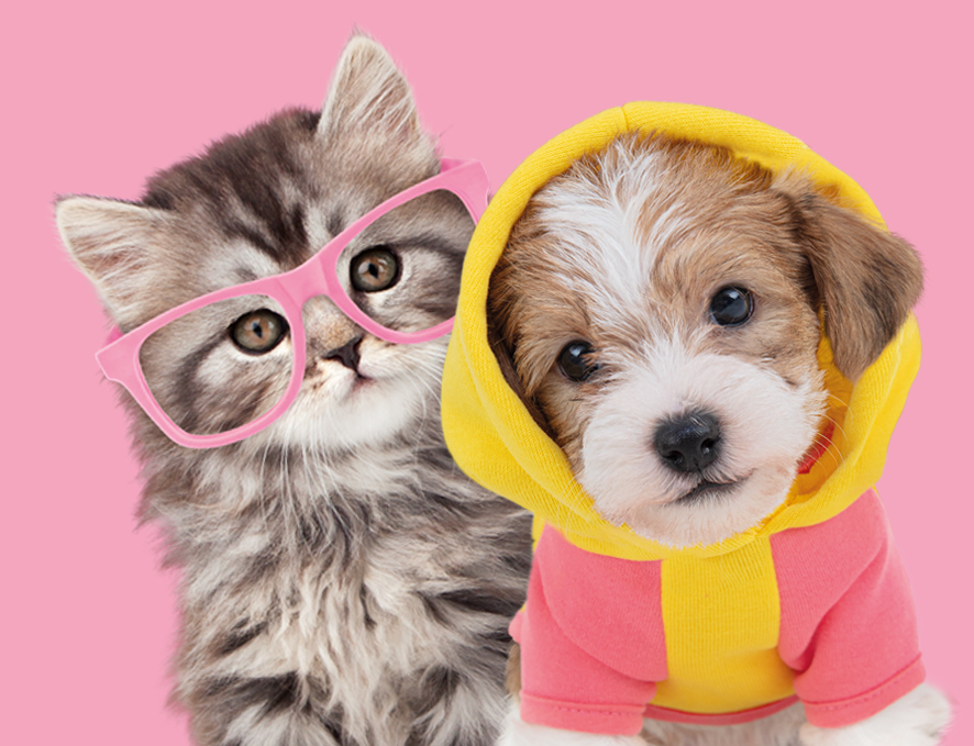 Rescuing Pets Matters
