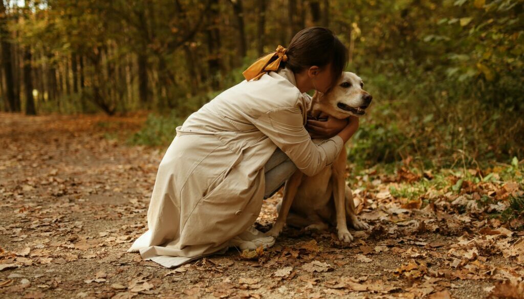 Pet Adoption