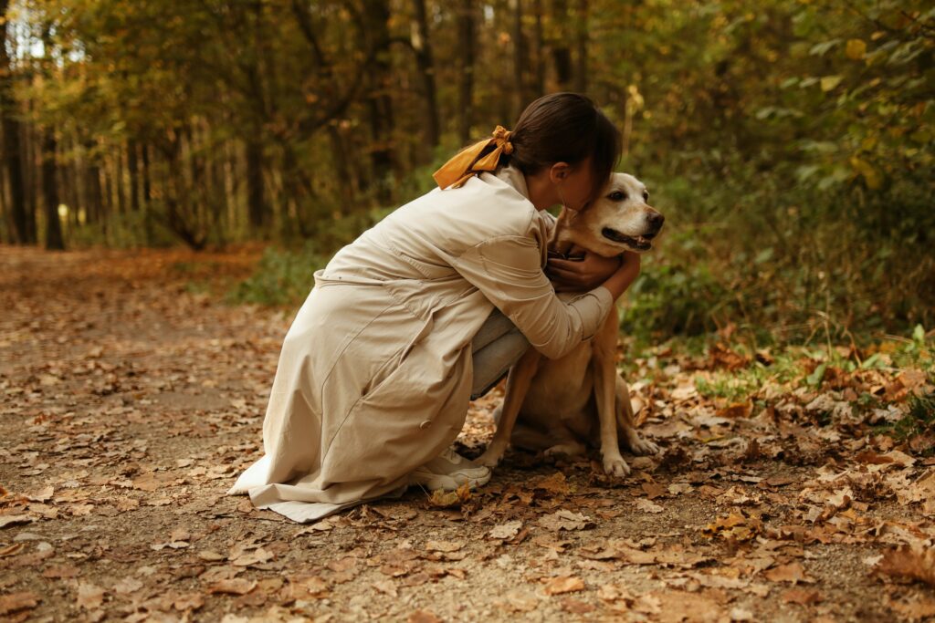 Pet Adoption