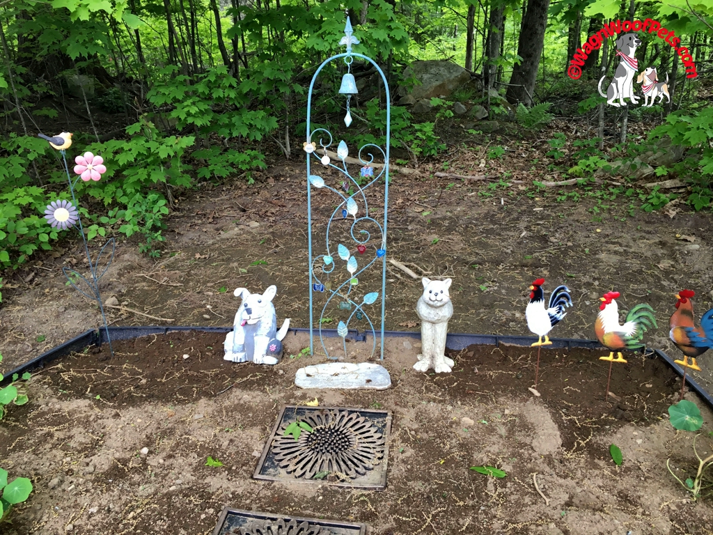 Creating a Pet Memorial Garden in Your Backyard 