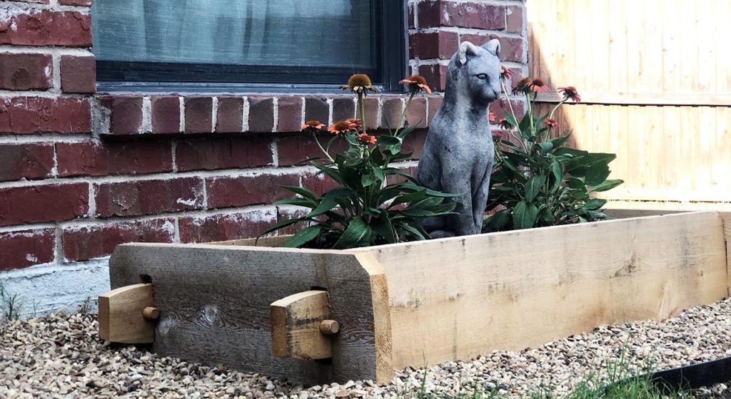 Creating a Pet Memorial Garden in Your Backyard