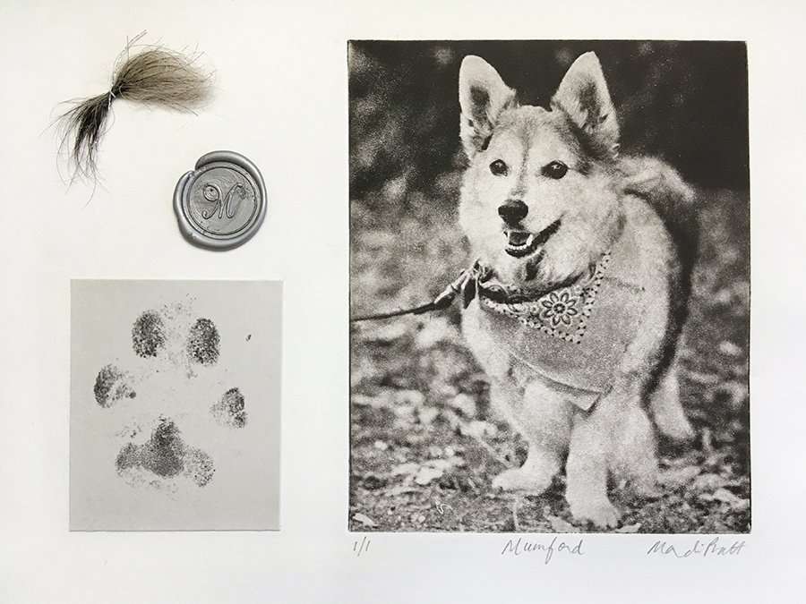 Memorializing Your Pet