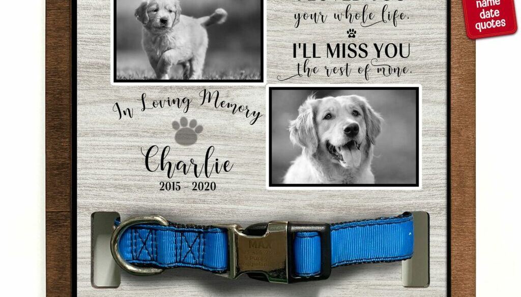 Memorializing Your Pet