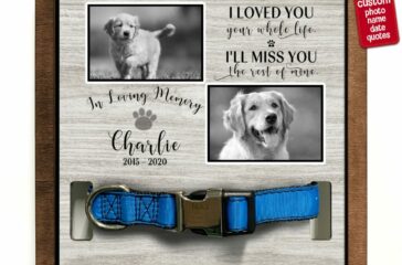 Memorializing Your Pet