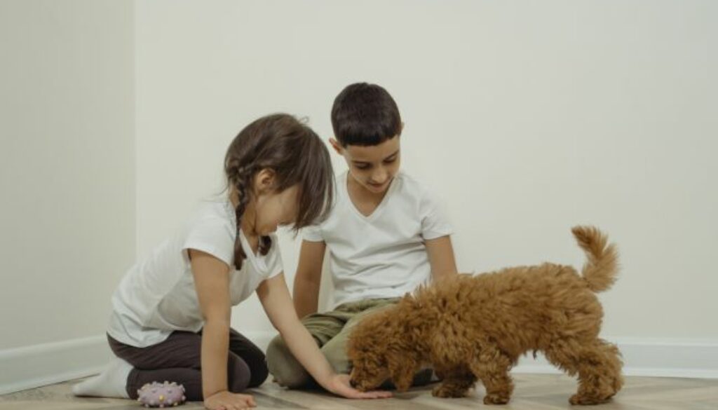Pet Adoption and Children: Teaching Compassion and Responsibility