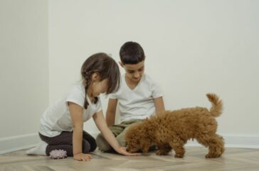Pet Adoption and Children: Teaching Compassion and Responsibility
