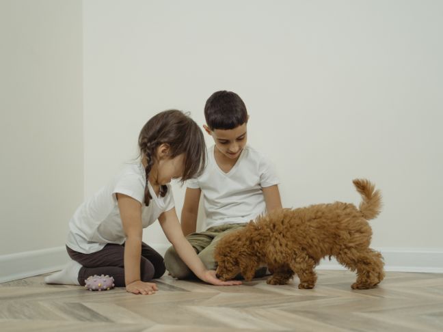 Pet Adoption and Children: Teaching Compassion and Responsibility