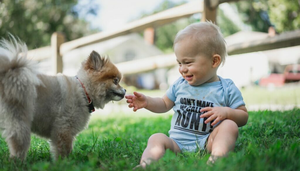 Pet Adoption and Children: Teaching Compassion and Responsibility