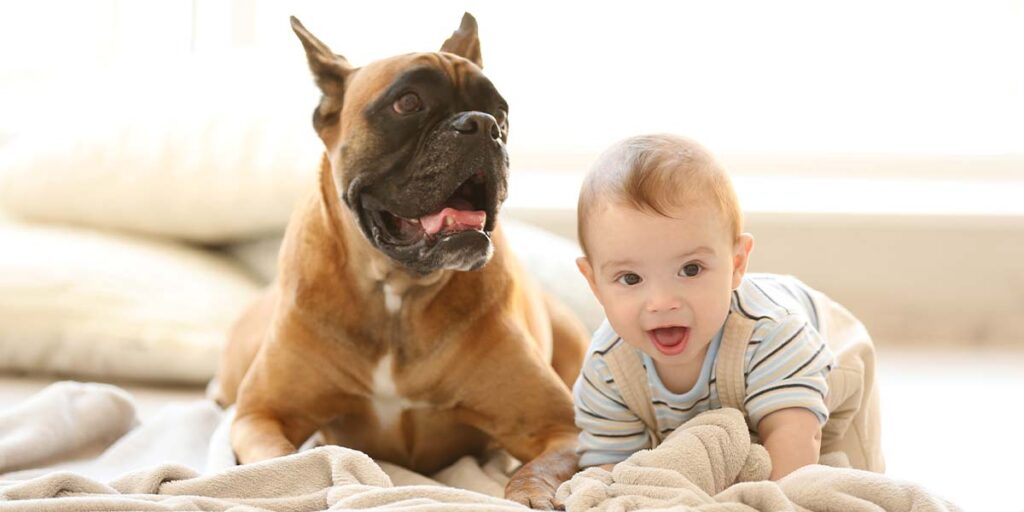 Preparing Your Dog for a New Baby: Training and Tips