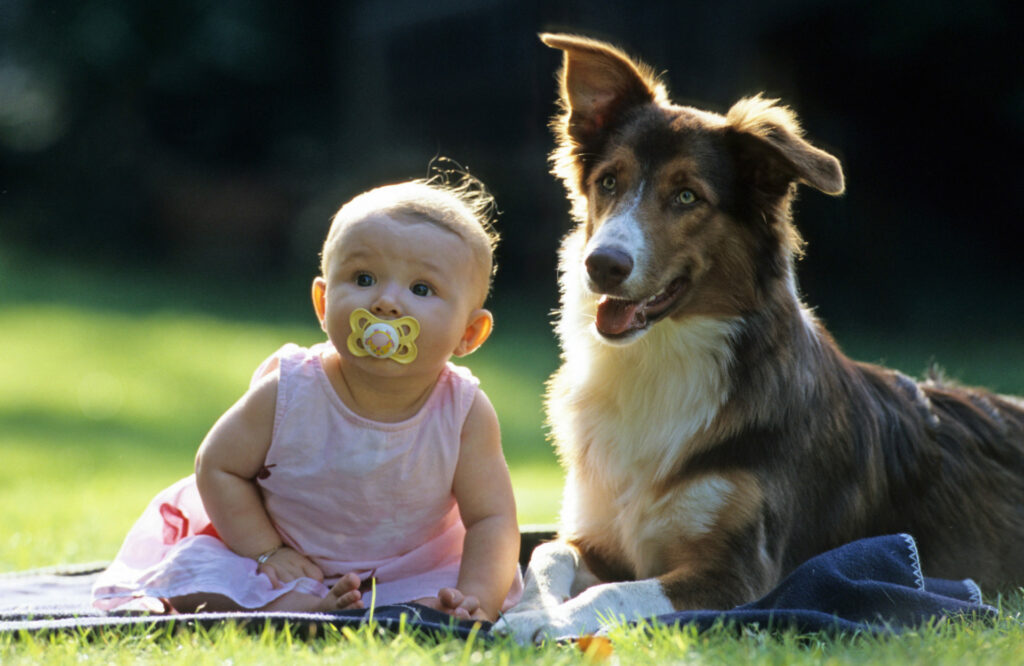 Pet Adoption and Children: Teaching Compassion and Responsibility
