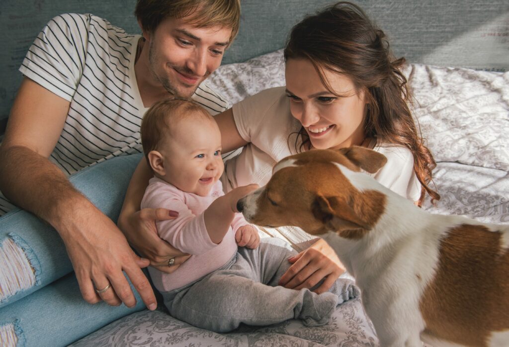 Preparing Your Dog for a New Baby: Training and Tips