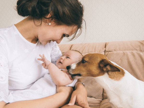 Preparing Your Dog for a New Baby: Training and Tips