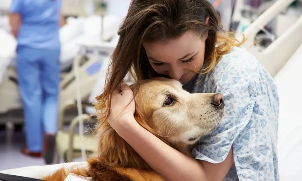 The Heartwarming Stories of Successful Pet Adoptions