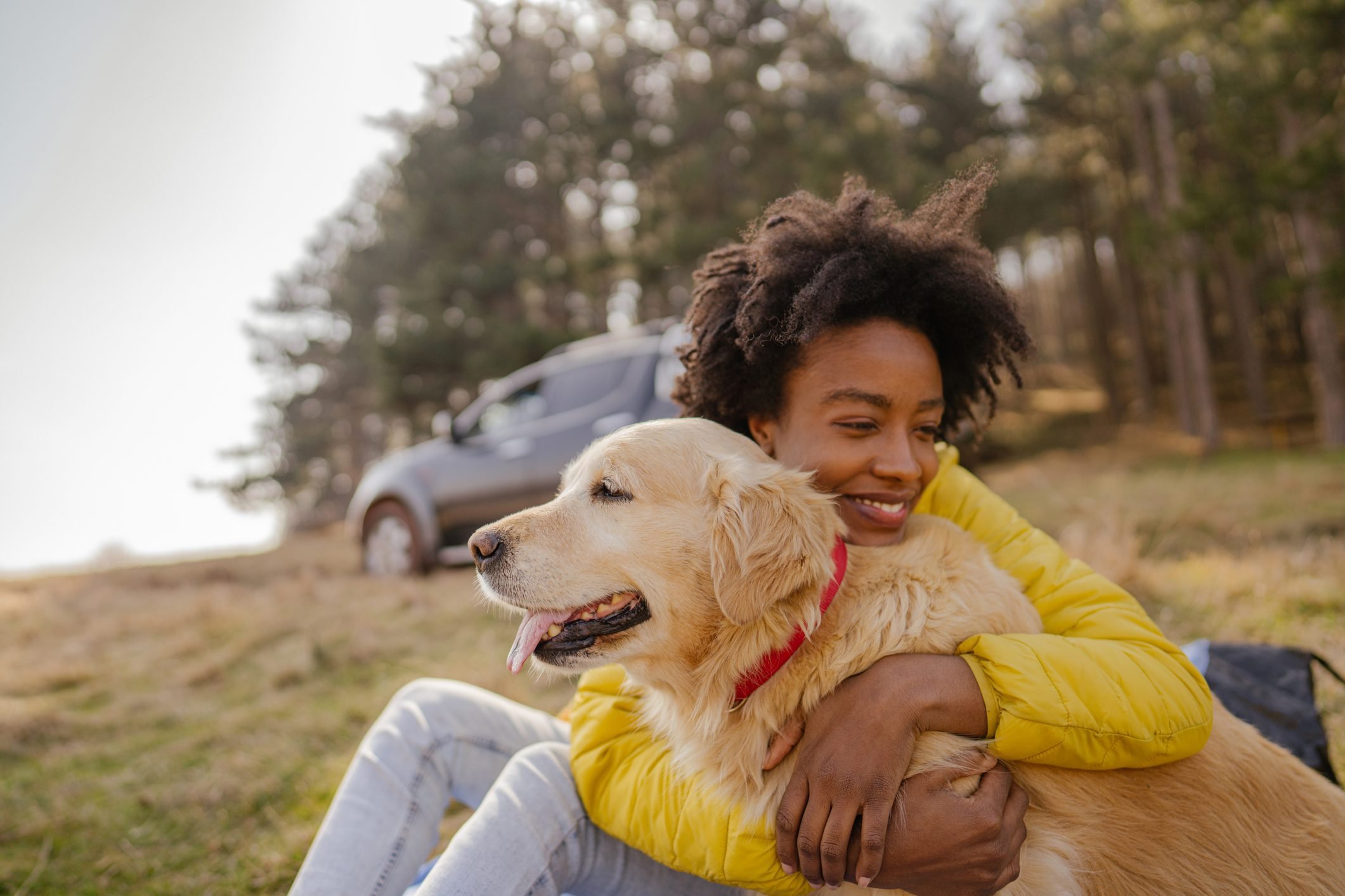 Adopting a Rescue Pet