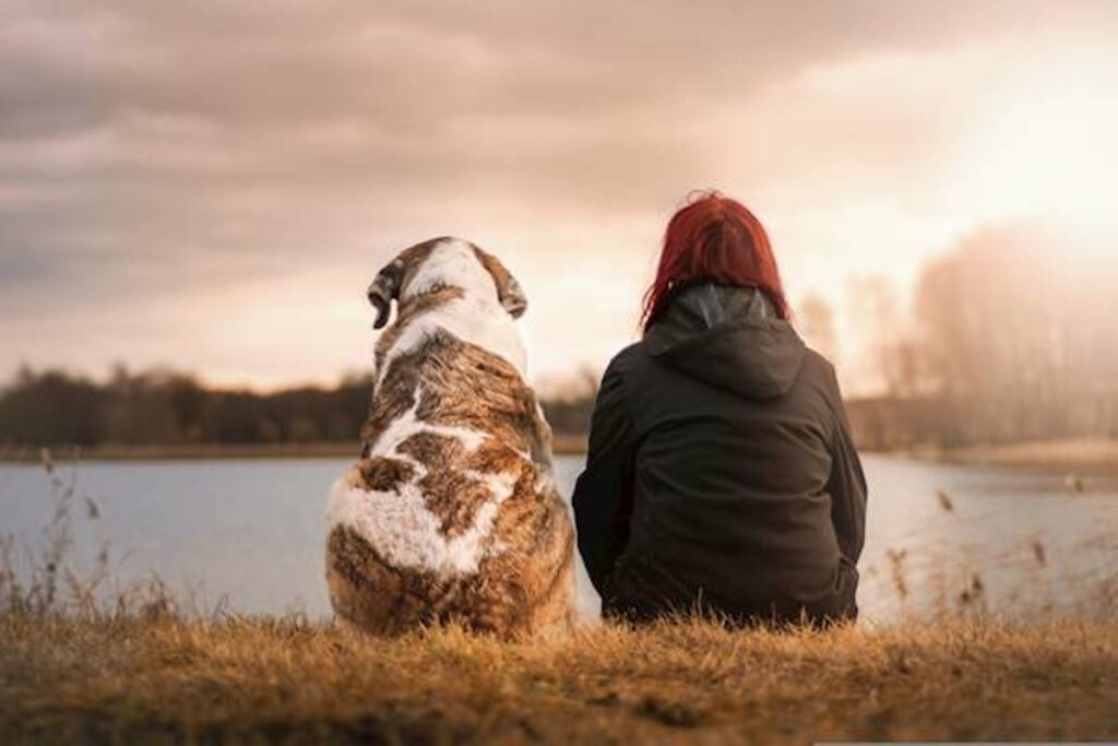 Helping Other Pets Cope with the Loss of Their Companion