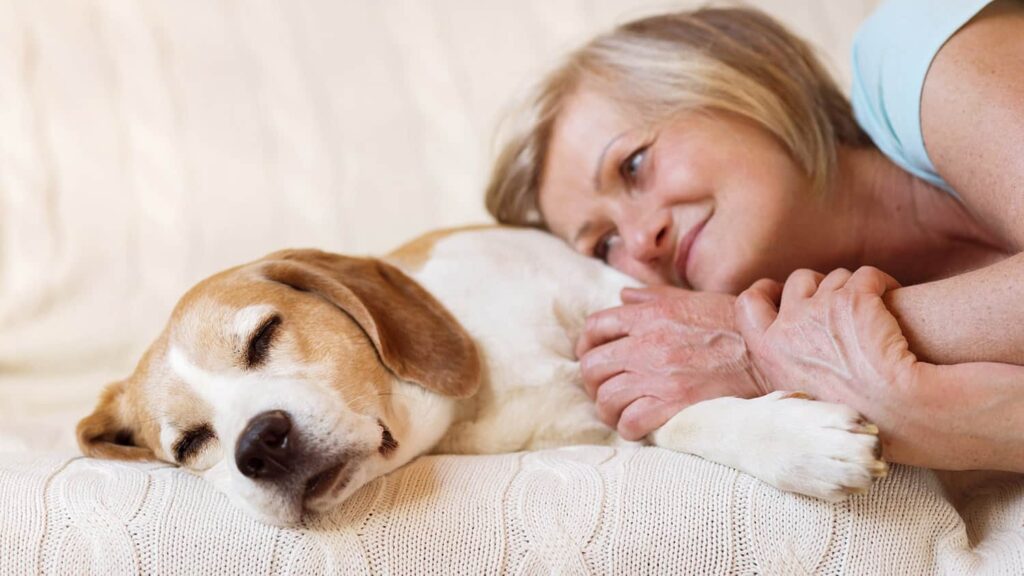 Helping Other Pets Cope with the Loss of Their Companion