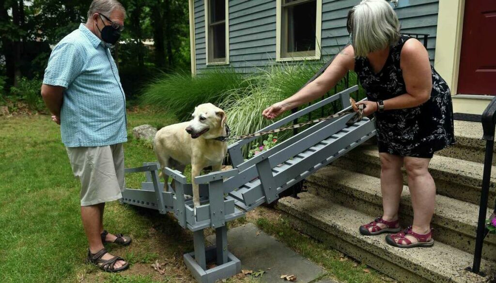 Pet Loss and the Elderly Navigating the Unique Challenges