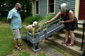 Pet Loss and the Elderly Navigating the Unique Challenges