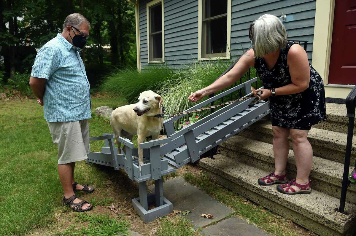 Pet Loss and the Elderly Navigating the Unique Challenges
