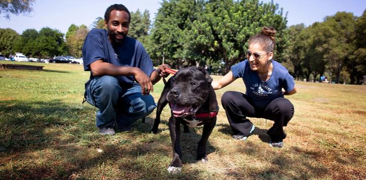 The Pet Adoption Process Demystified What to Expect