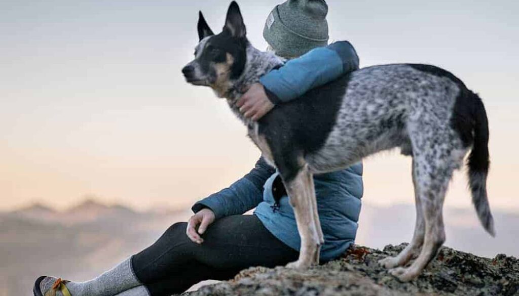 The Physical and Emotional Effects of Pet Loss Navigating the Journey of Grief