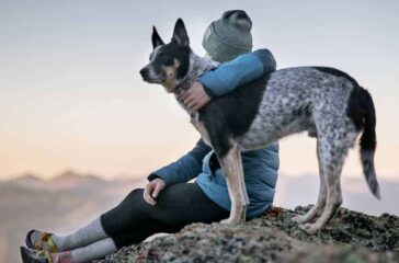 The Physical and Emotional Effects of Pet Loss Navigating the Journey of Grief