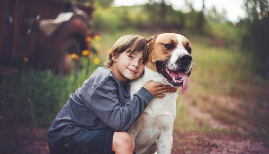 Finding Love in Older Pets: The Joys of Senior Pet Adoption
