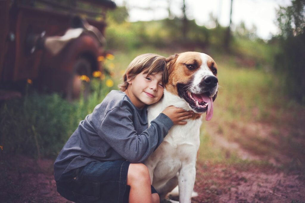 Finding Love in Older Pets: The Joys of Senior Pet Adoption