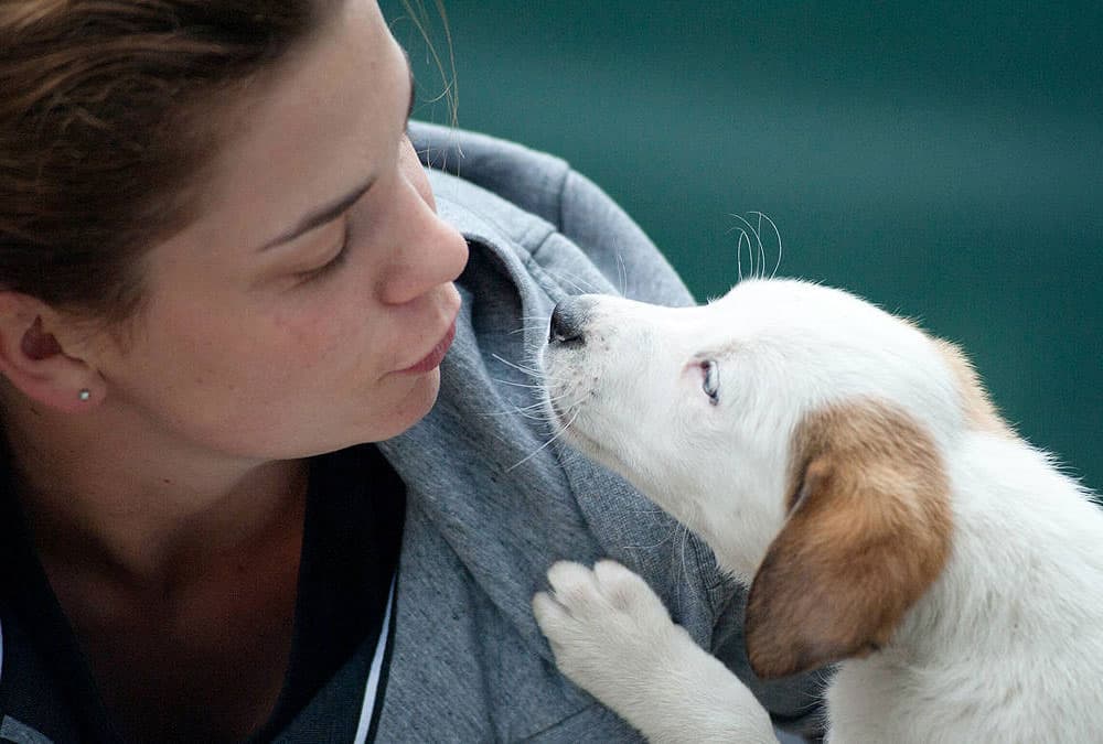Coping with Sudden Pet Loss: Tips for Immediate Grief 