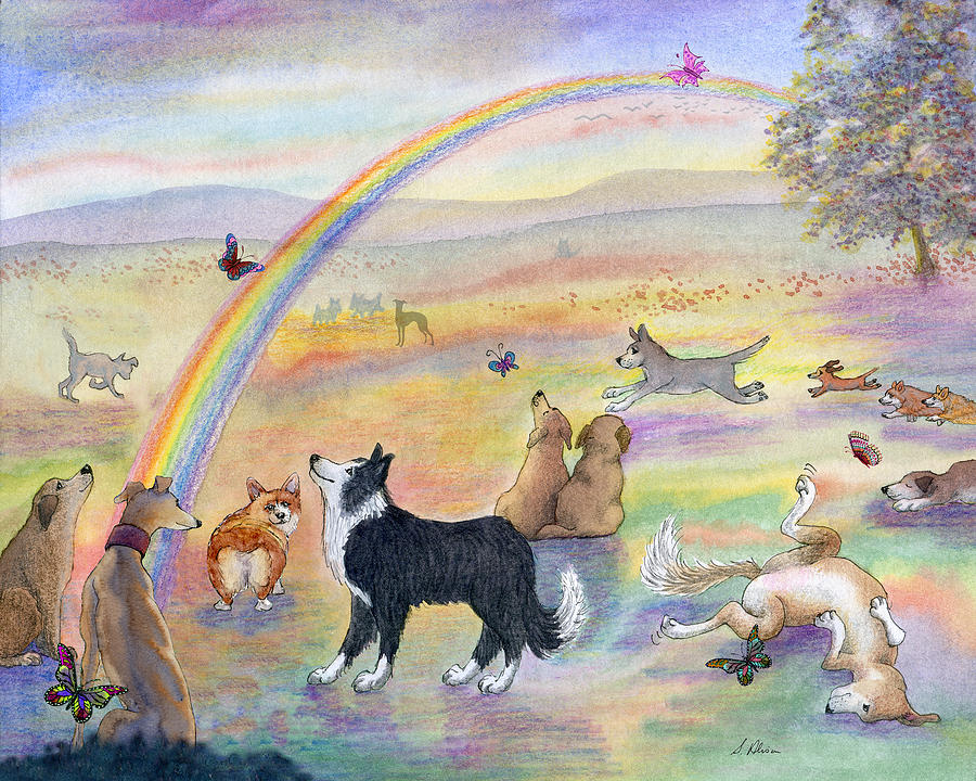 The Rainbow Bridge: Exploring the Concept 