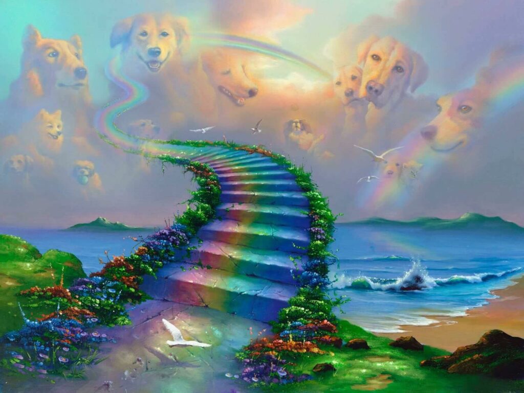 The Rainbow Bridge: Exploring the Concept 