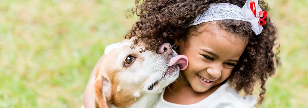 The Role of Foster Homes in Pet Adoption Success 