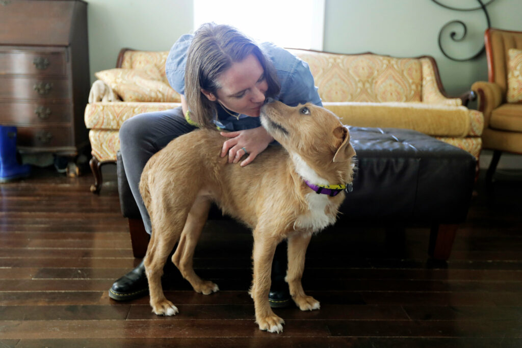 The Role of Foster Homes in Pet Adoption Success 