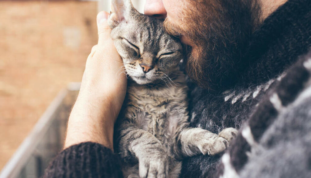 Finding Love in Older Pets: The Joys of Senior Pet Adoption