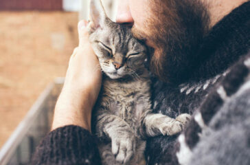 Finding Love in Older Pets: The Joys of Senior Pet Adoption