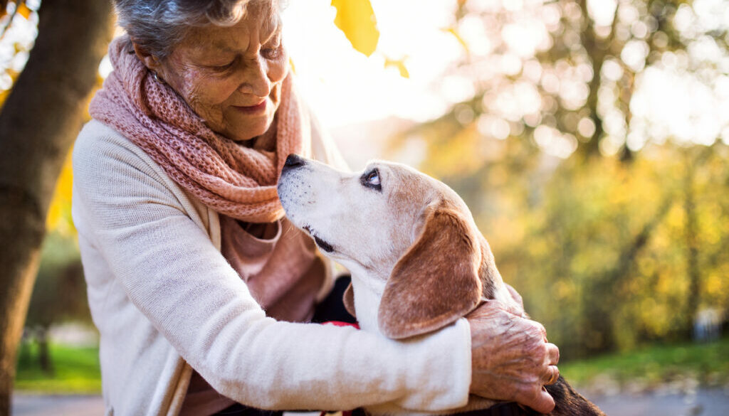 Memorializing Your Pet Online: Creating a Digital Tribute