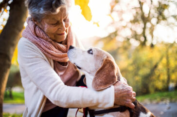 Memorializing Your Pet Online: Creating a Digital Tribute