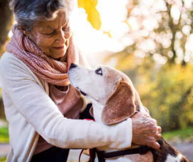 Memorializing Your Pet Online: Creating a Digital Tribute