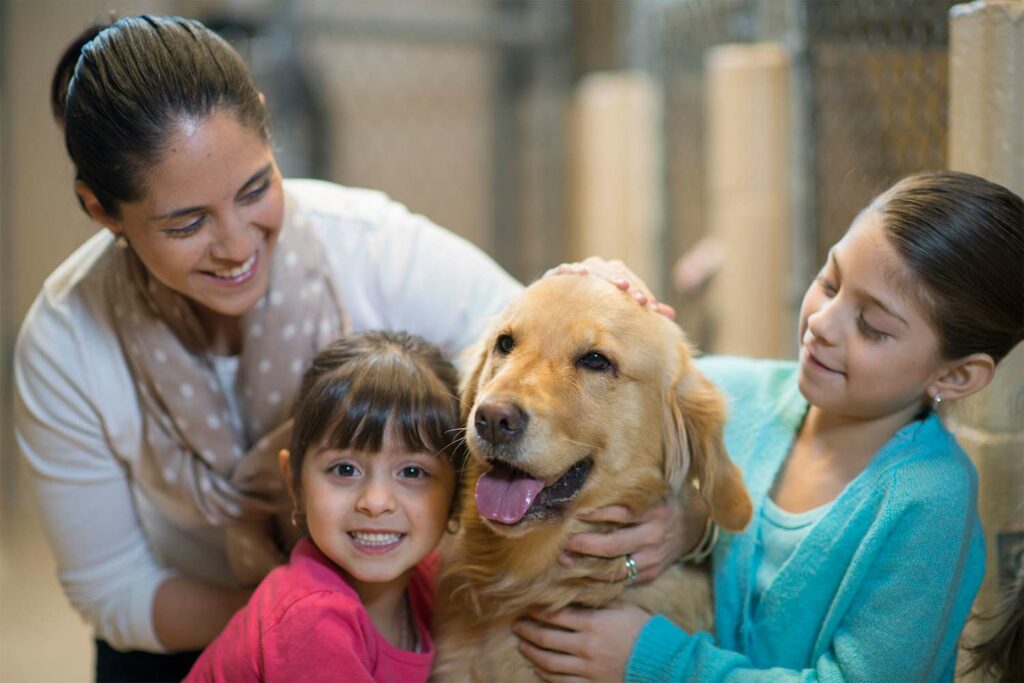 The Connection Between Pet Adoption and Pet Therapy