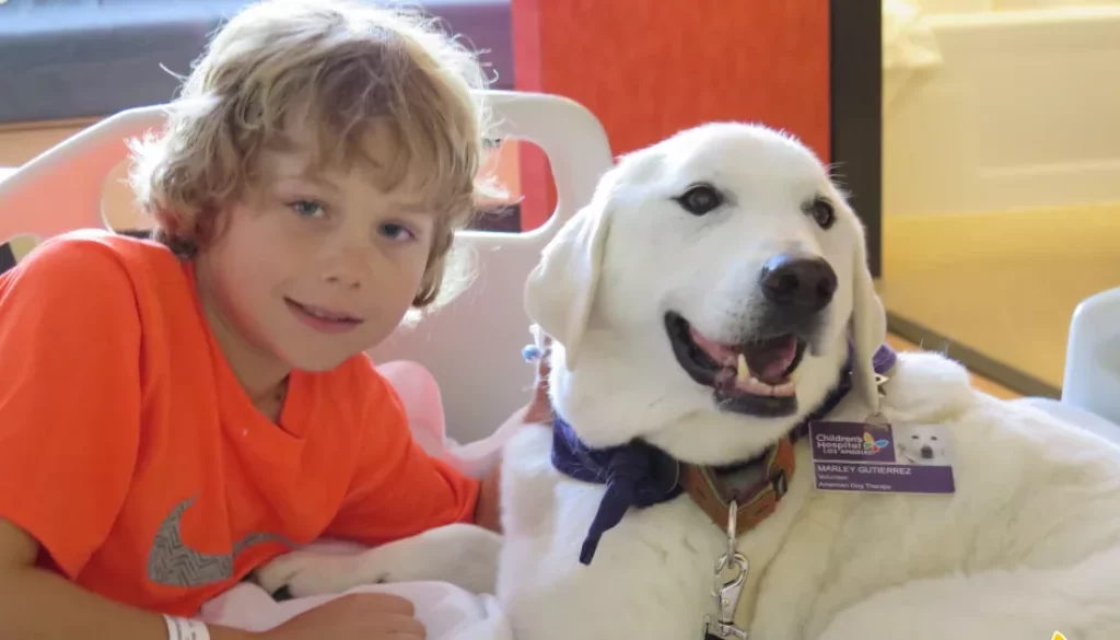 The Connection Between Pet Adoption and Pet Therapy