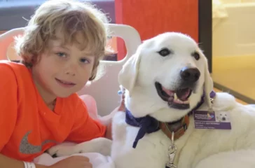 The Connection Between Pet Adoption and Pet Therapy