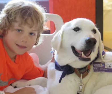 The Connection Between Pet Adoption and Pet Therapy