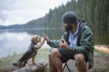 Writing a Pet Eulogy: Honoring Your Companion
